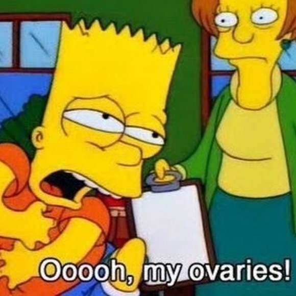 Meet your Posher, Izzy - Picture 1 of 1